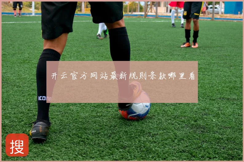 开云官方网站最新规则条款哪里看